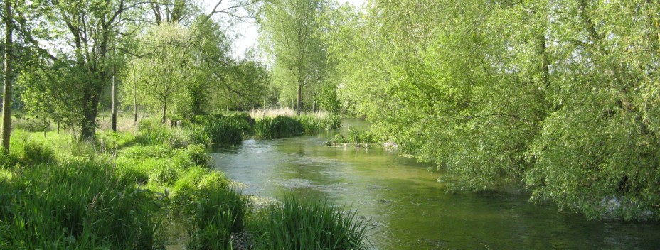 River Test Tributary River Test Tributary