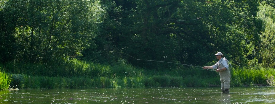 Casting to a chalkstream wild brownie Casting to a chalkstream wild brownie