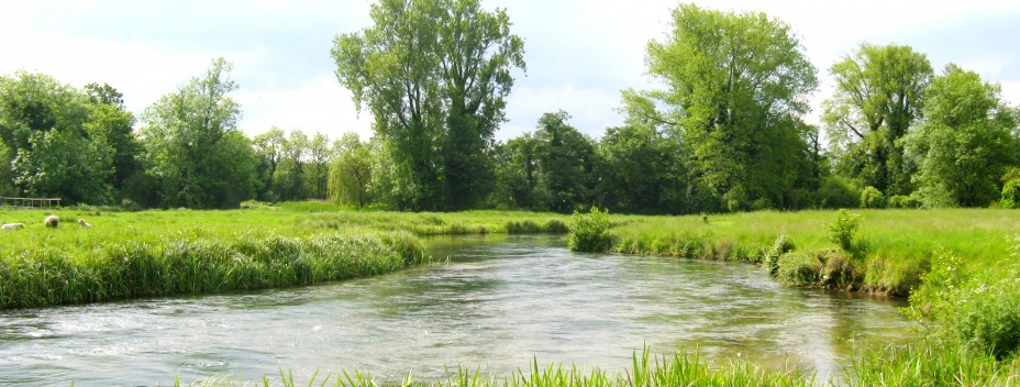 River Test at Houghton River Test at Houghton