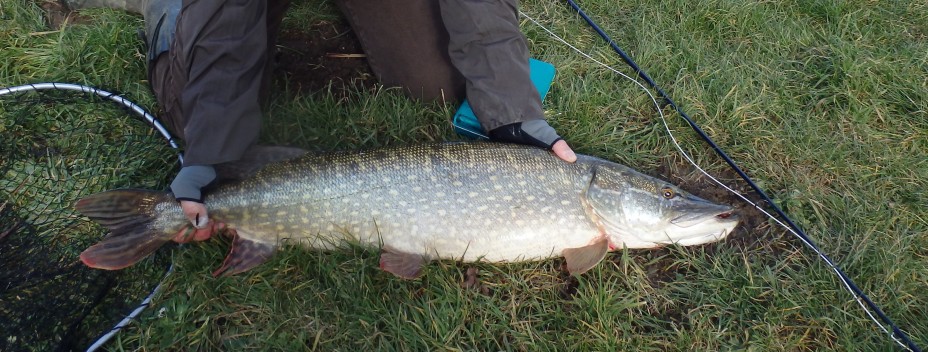 Big pike from the Test Big pike from the Test